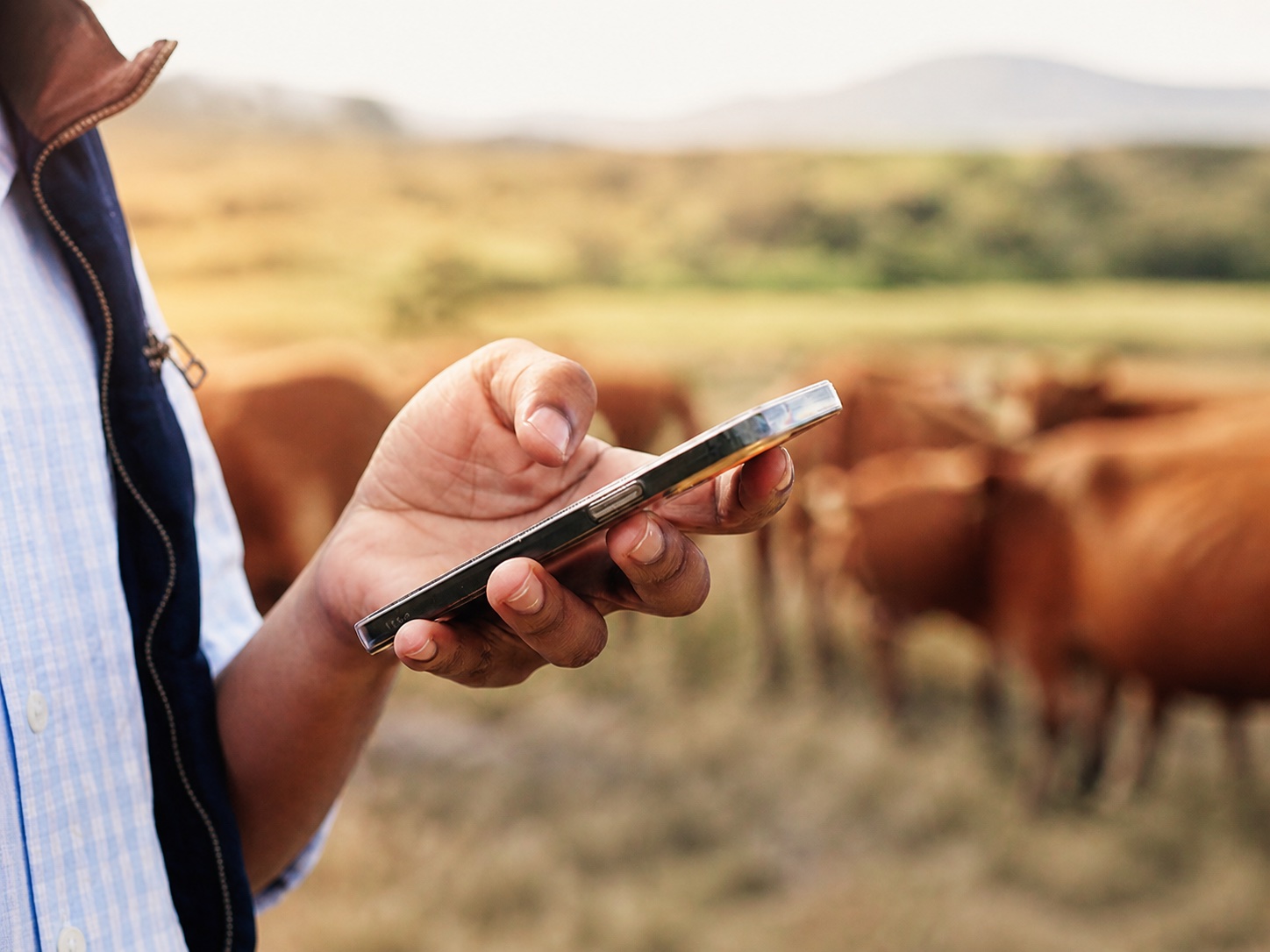 Agrarfachkraft informiert sich auf dem Smartphone