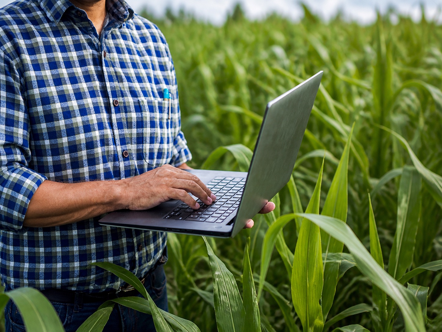 Agryco-Experte am Computer auf einem landwirtschaftlichen Betrieb
